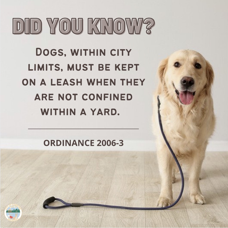 Leash Law